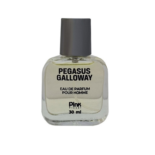عطر جیبی مردانه پینک ویژوال مدل Pegasus Galloway حجم 30 میلی لیتر